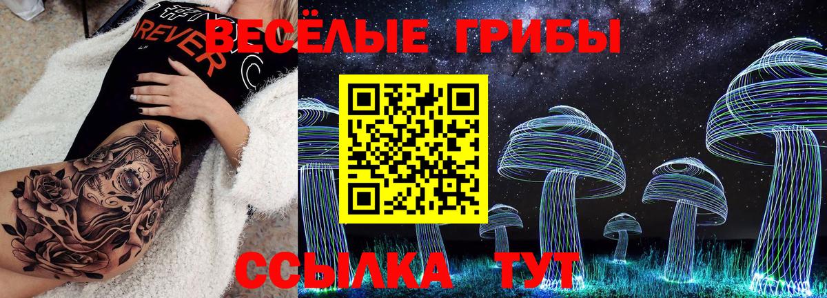 Галлюциногенные грибы ЛСД  Вход с VPN  купить закладку  Горячий Ключ 