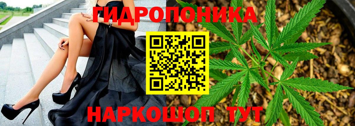 Бошки Шишки конопля  Вход с VPN  Бошки Шишки Bruce Banner  Горячий Ключ 